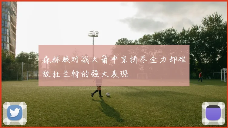 森林狼对战火箭申京拼尽全力却难敌杜兰特的强大表现